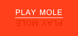 brand_logo03 PLAY MOLE